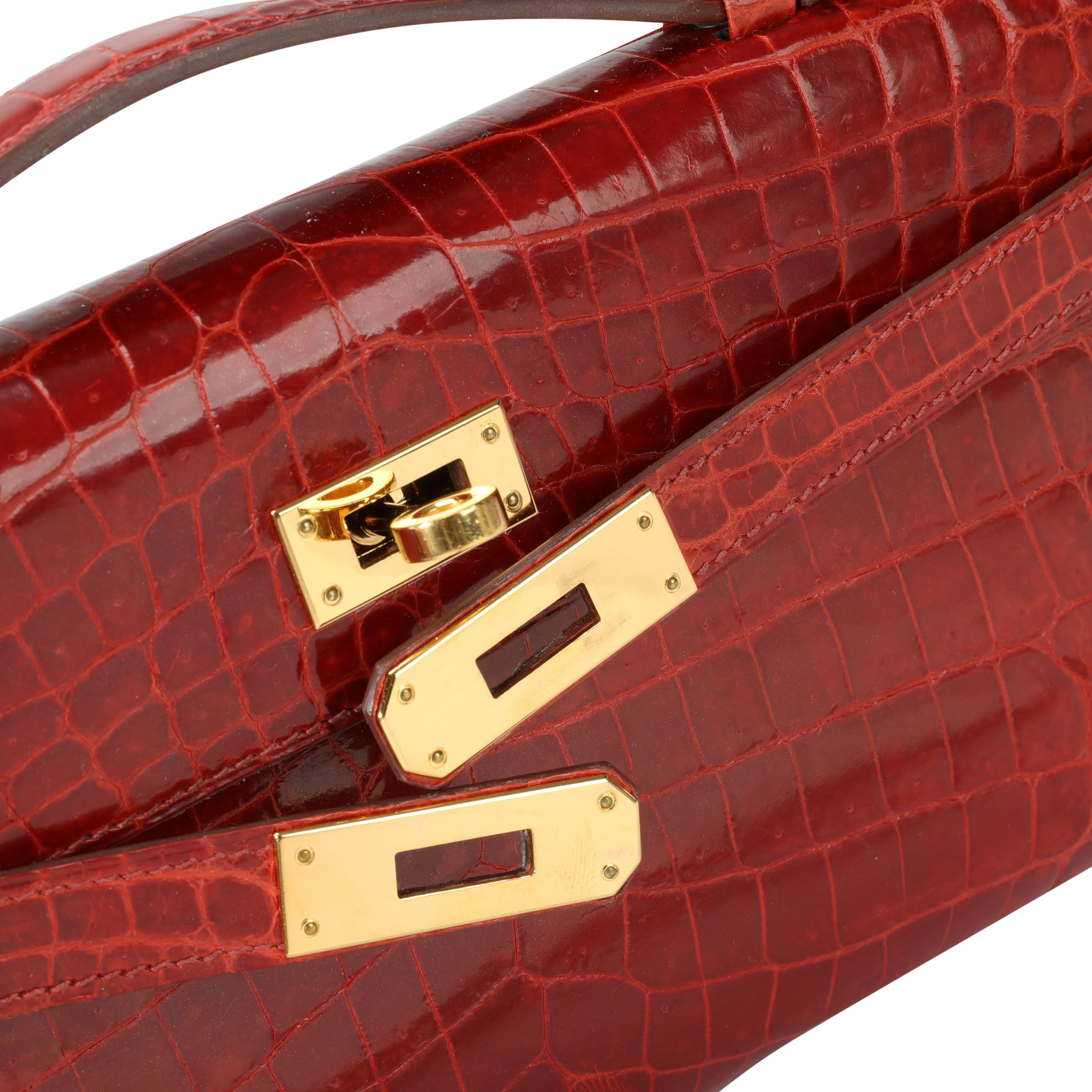 Sanguine Shiny Niloticus Crocodile Kelly Cut GHW - Image 8
