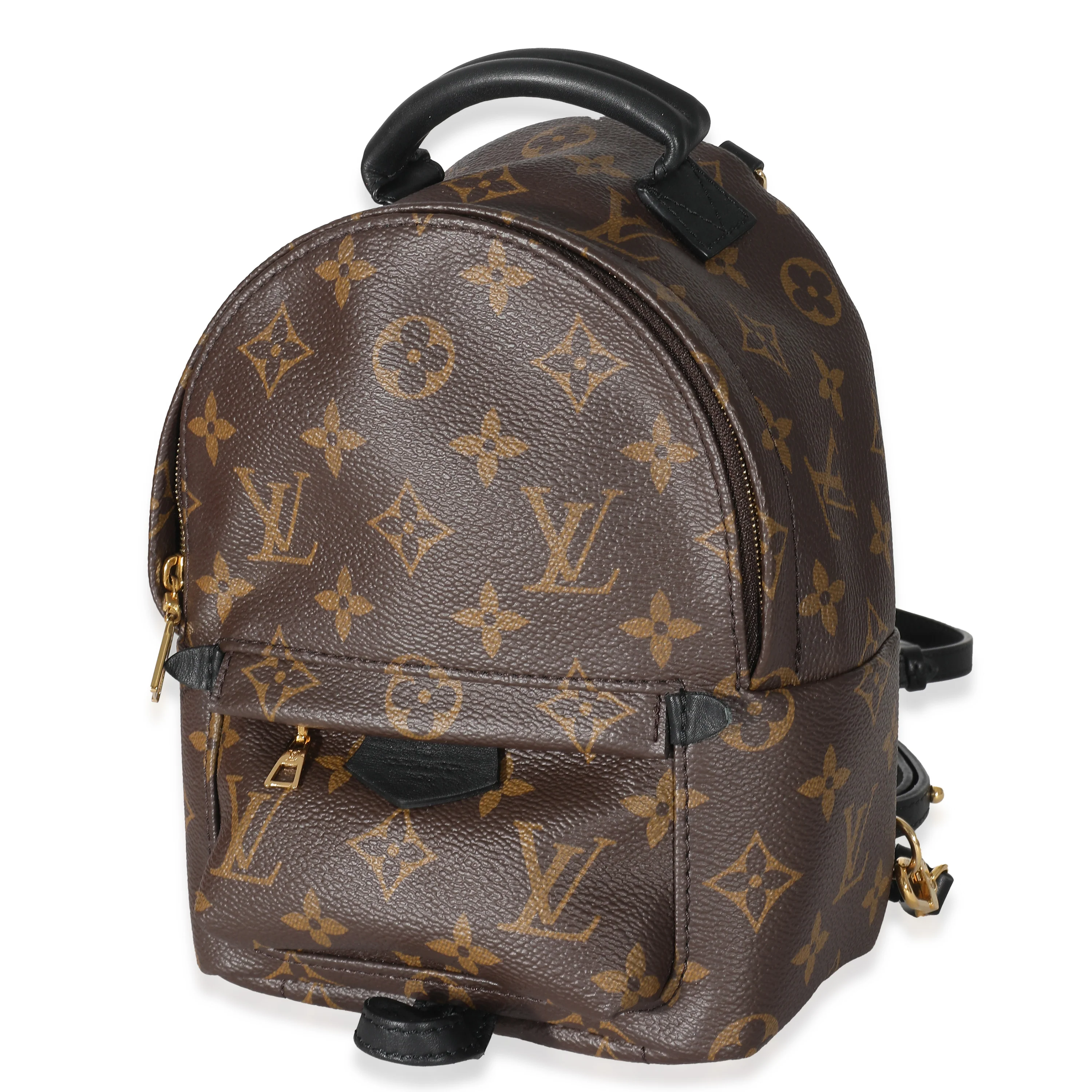 Louis Vuitton Monogram Mini Palm Spring Backpack - Image 2