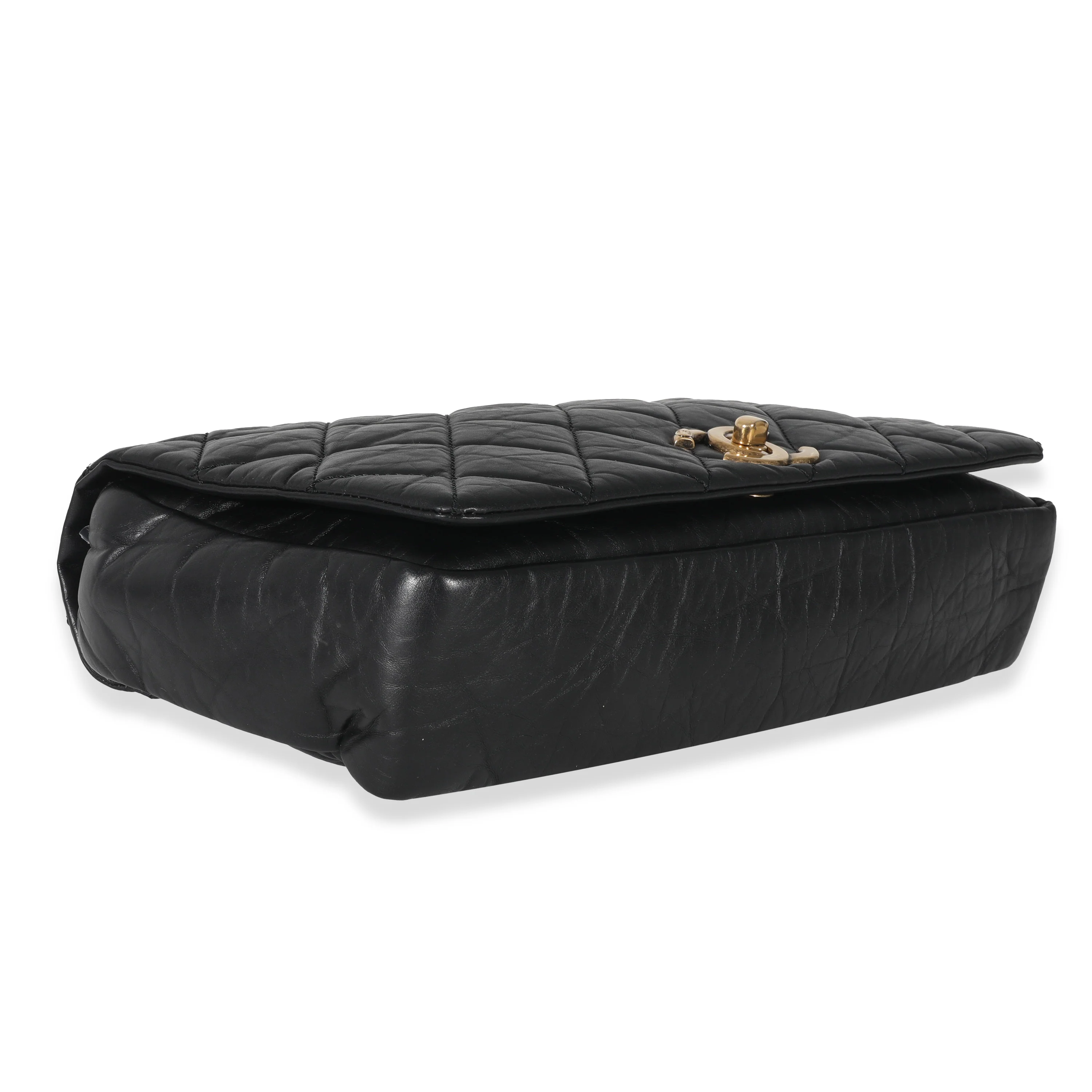 Chanel Black Quilted Calfskin Medium Pondicherry Flap Bag - Image 6