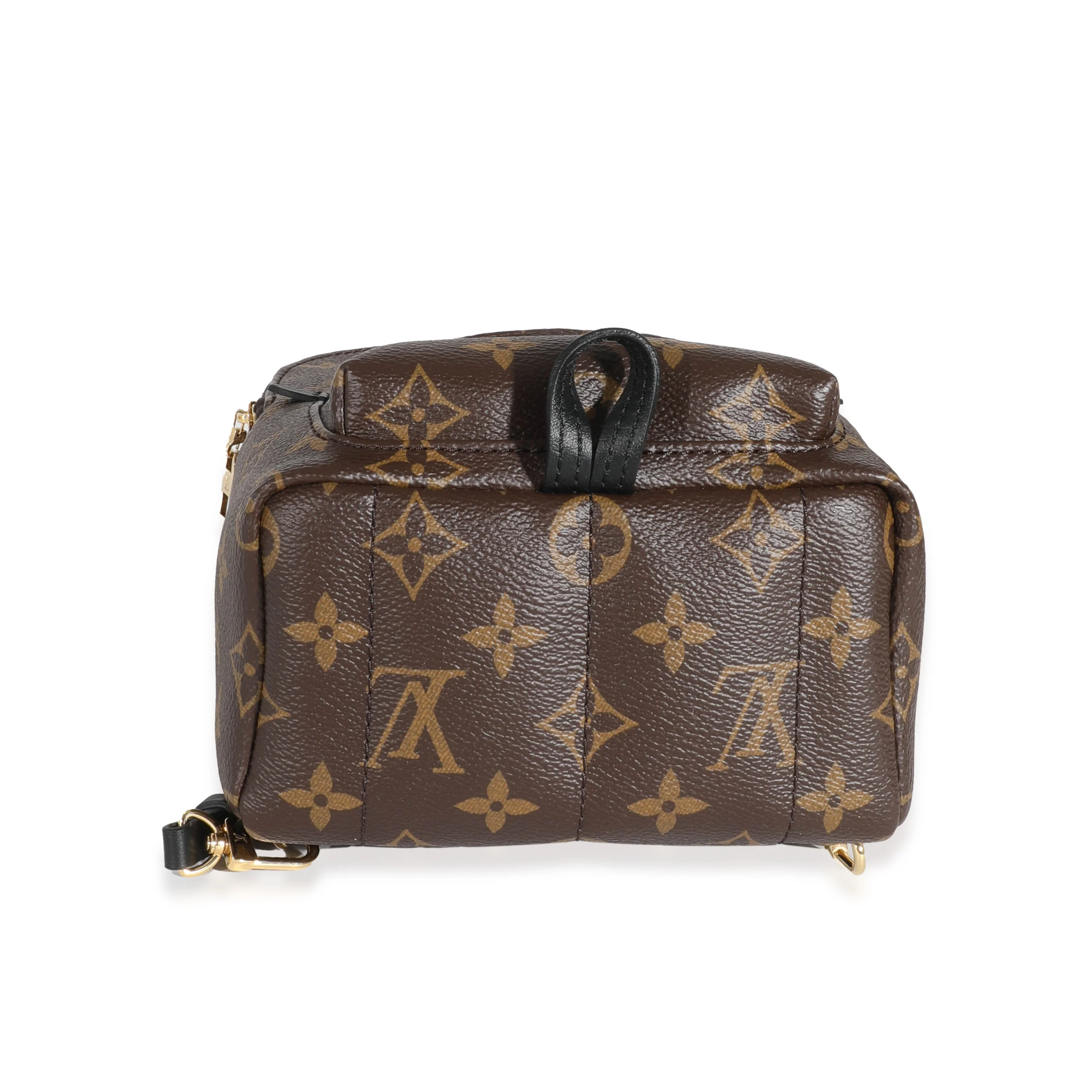 Louis Vuitton Monogram Canvas Mini Palm Spring Backpack - Image 4