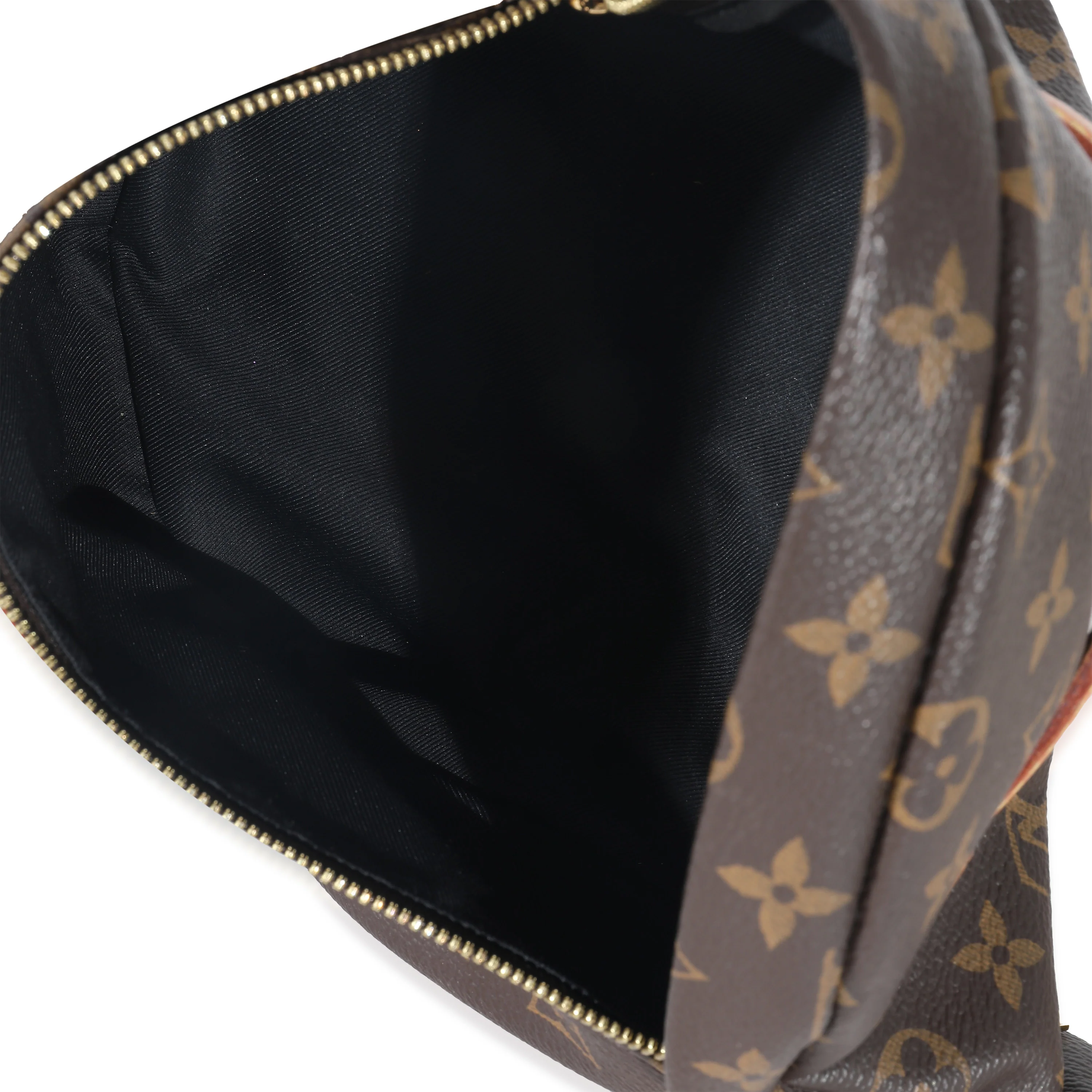 Louis Vuitton Monogram Canvas Bumbag - Image 7
