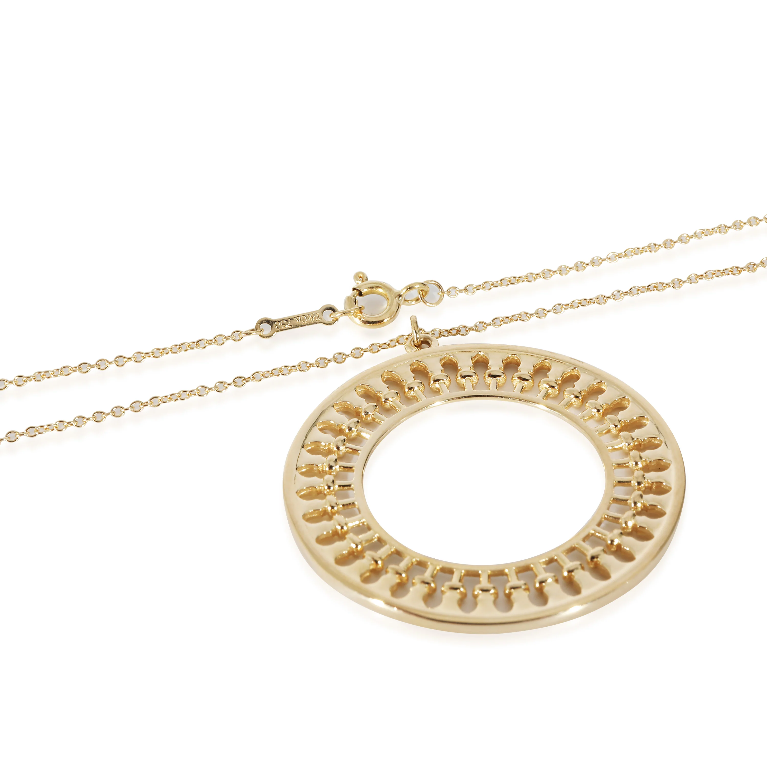 Tiffany & Co. Paloma Picasso Venezia Stella Medallion in 18K Yellow Gold - Image 3