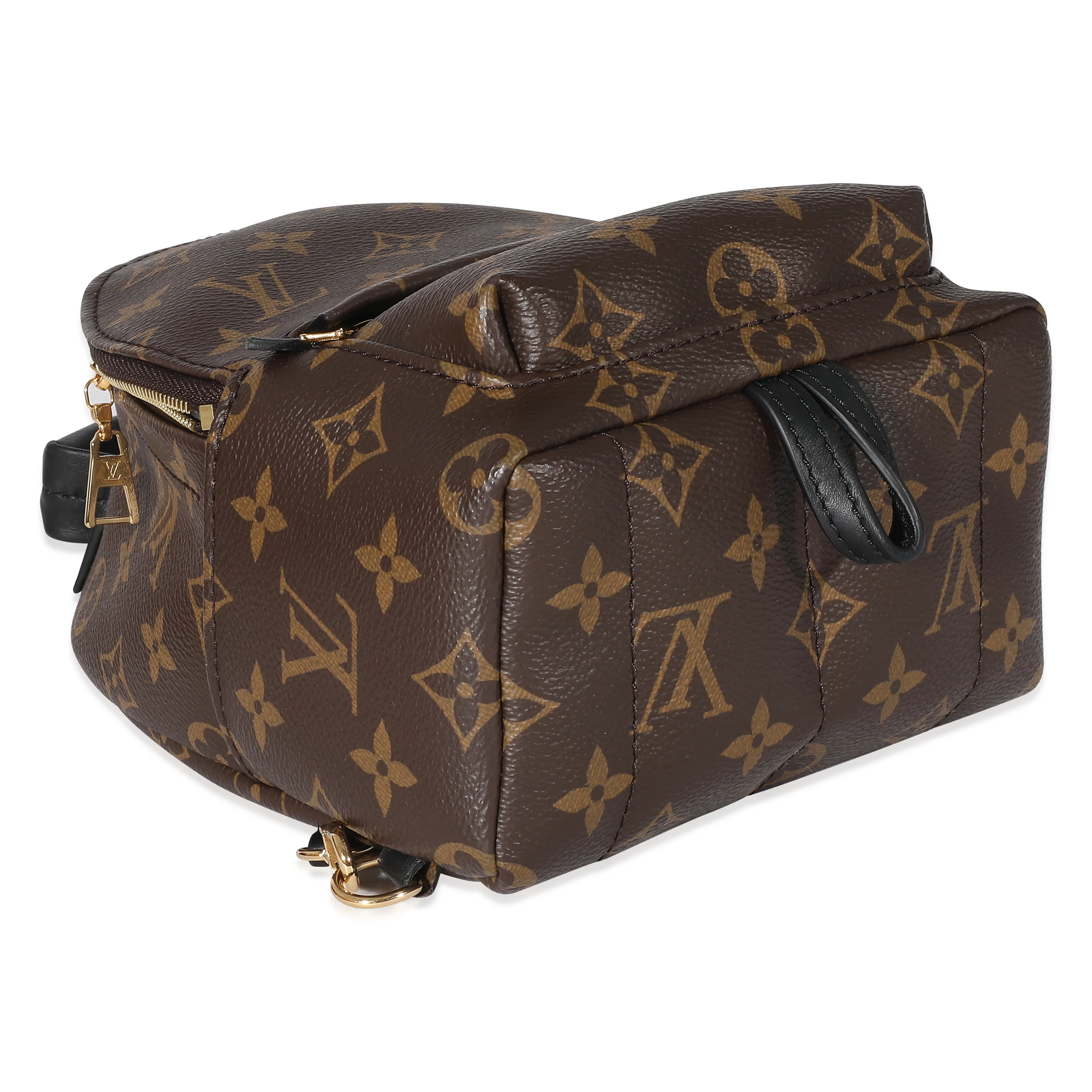 Louis Vuitton Monogram Canvas Mini Palm Springs - Image 6