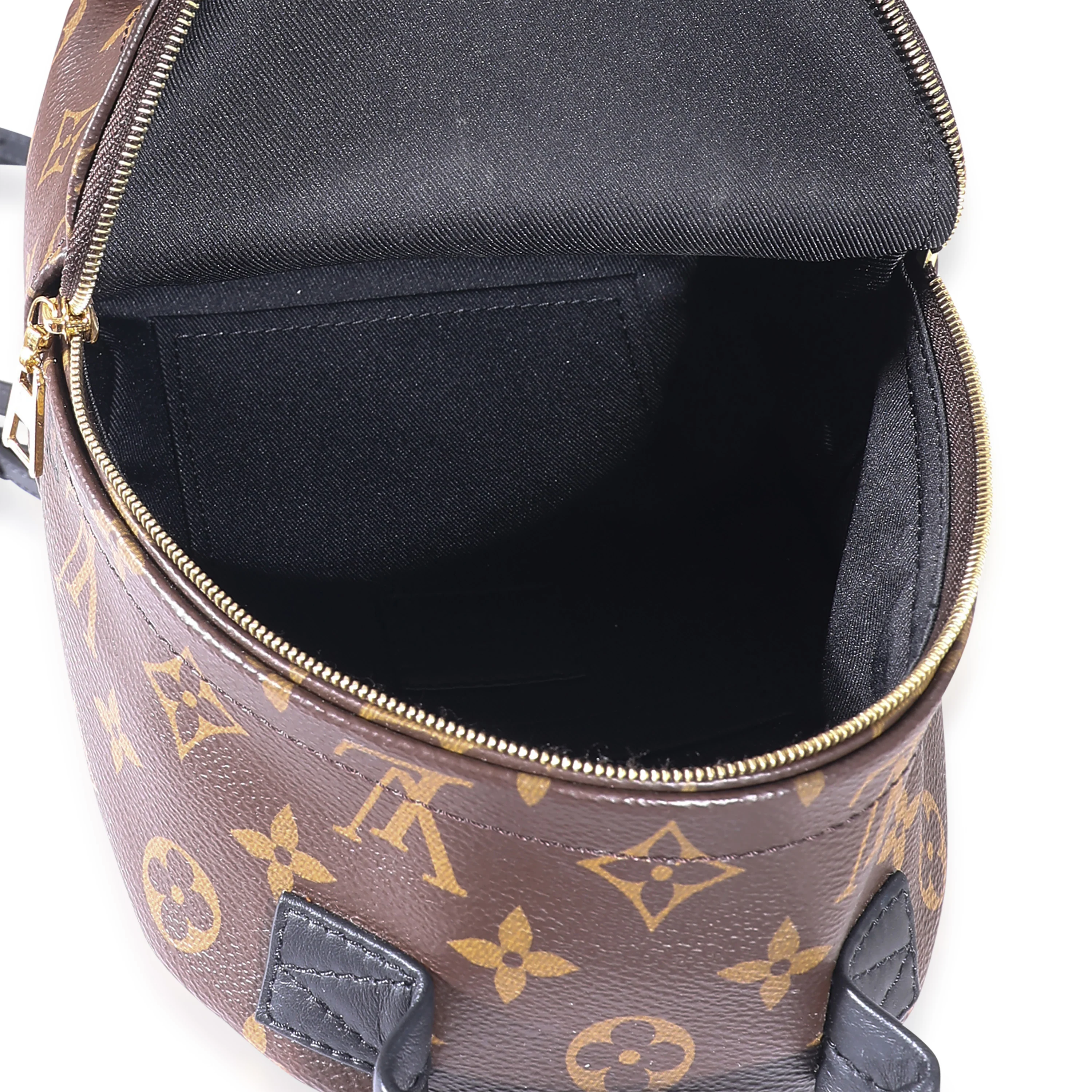 Louis Vuitton Monogram Canvas Mini Palm Springs - Image 8