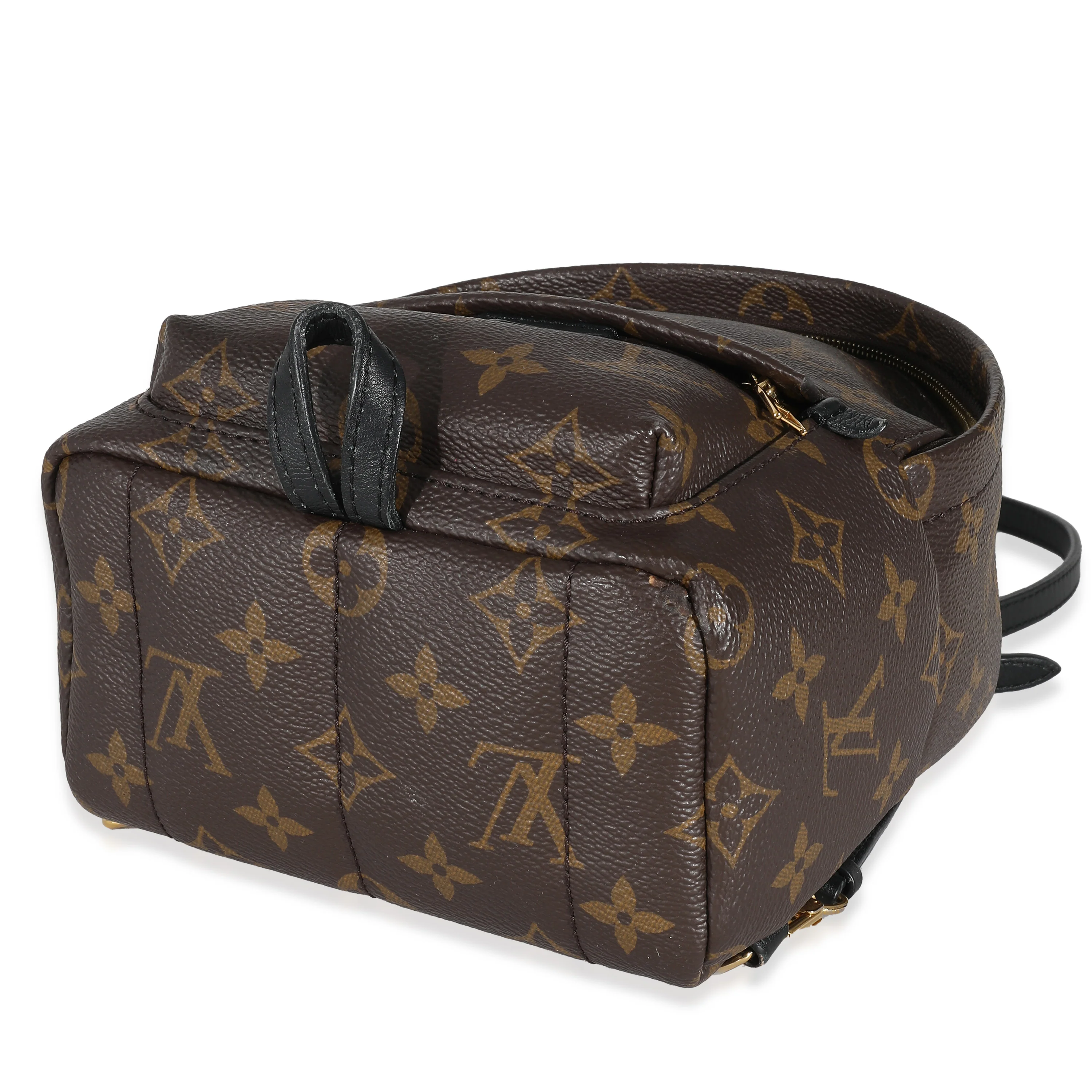 Louis Vuitton Monogram Canvas Mini Palm Springs - Image 6