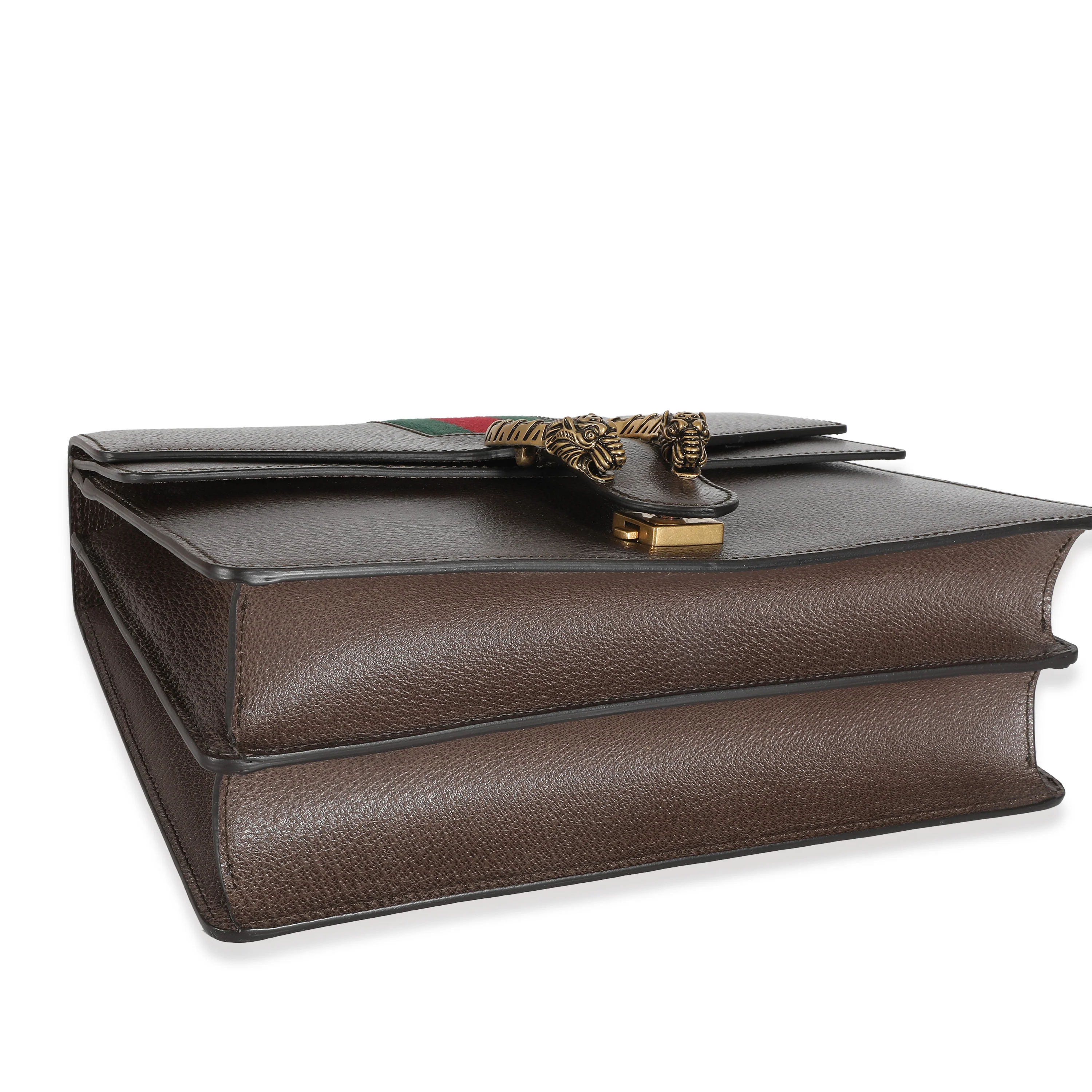 Brown Textured Calfskin Web Medium Dionysus - Image 5