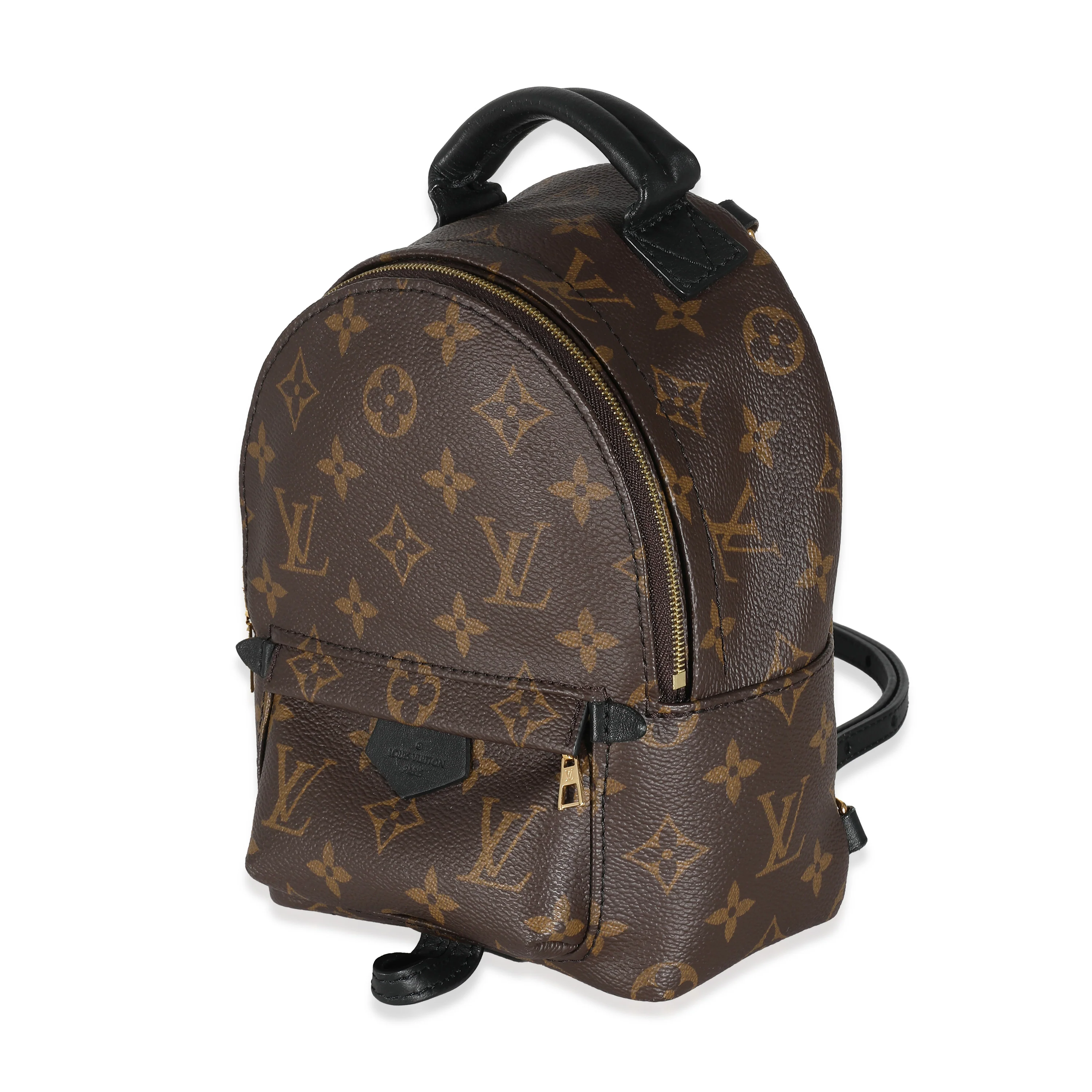 Louis Vuitton Monogram Canvas Mini Palm Springs - Image 2