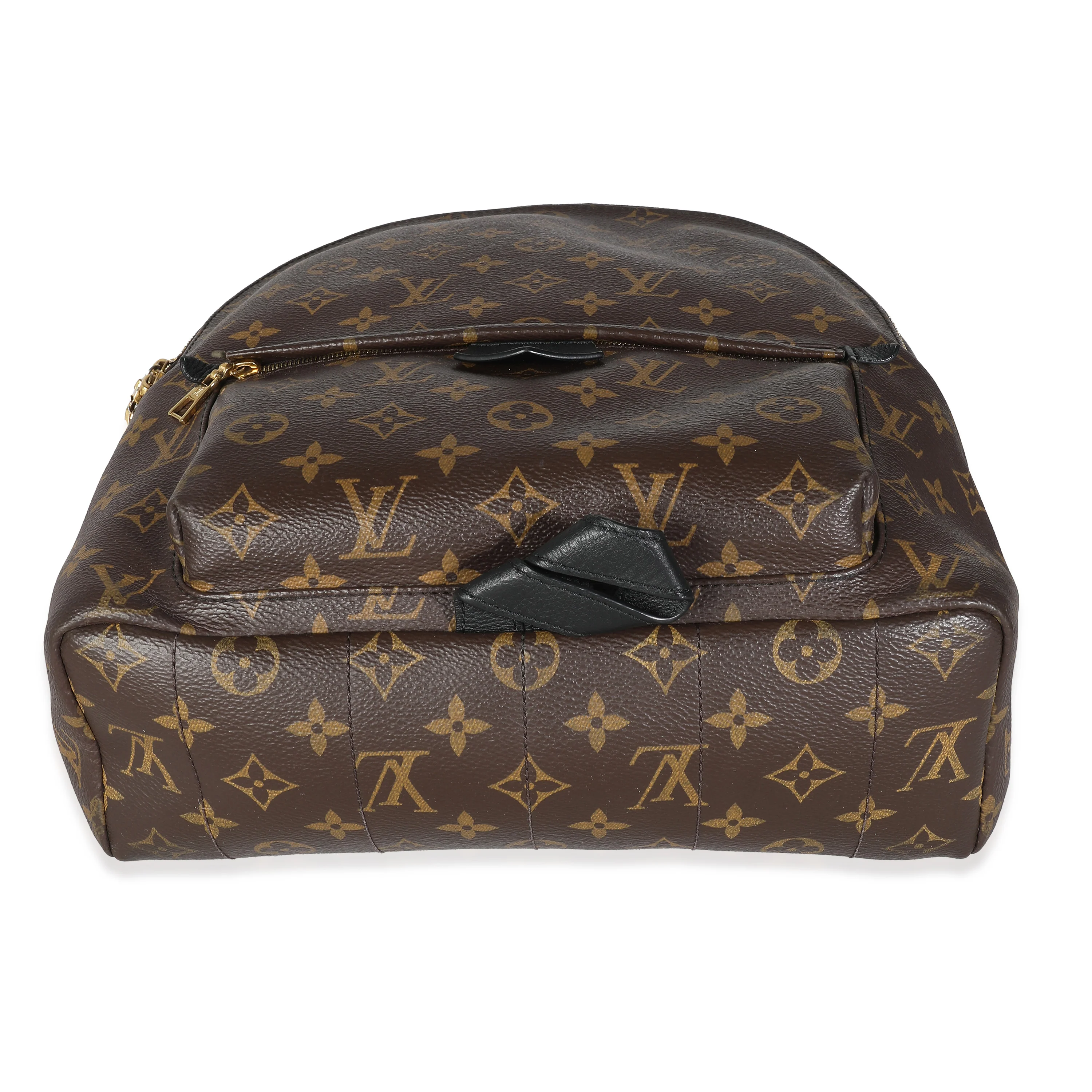 Louis Vuitton Monogram Canvas Palm Springs MM - Image 5