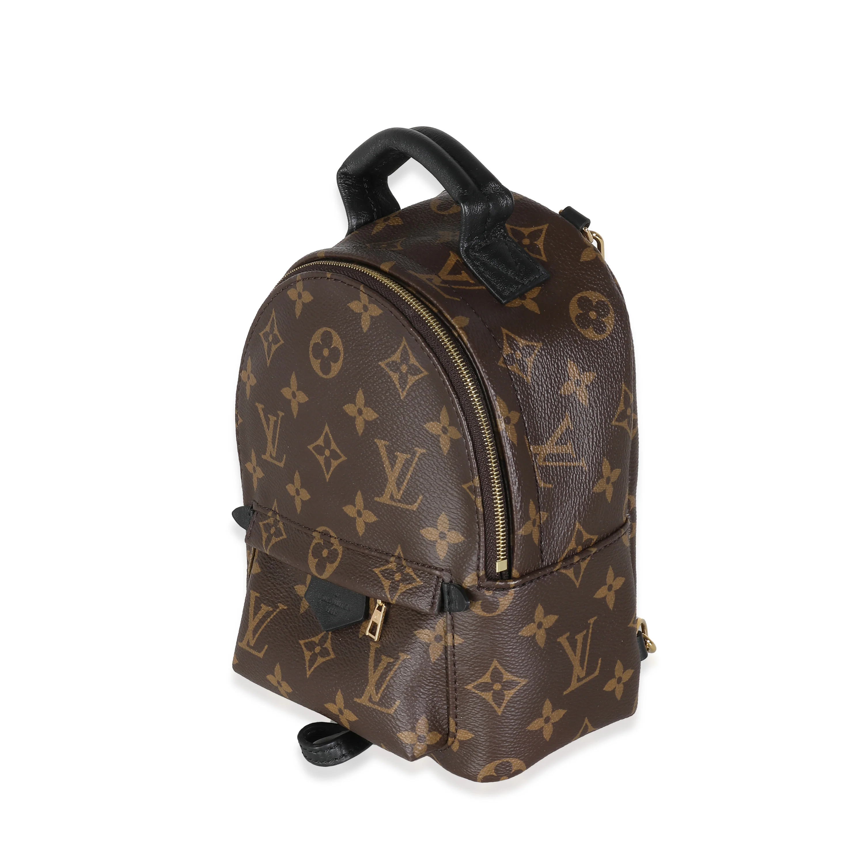 Monogram Canvas Mini Palm Springs - Image 2