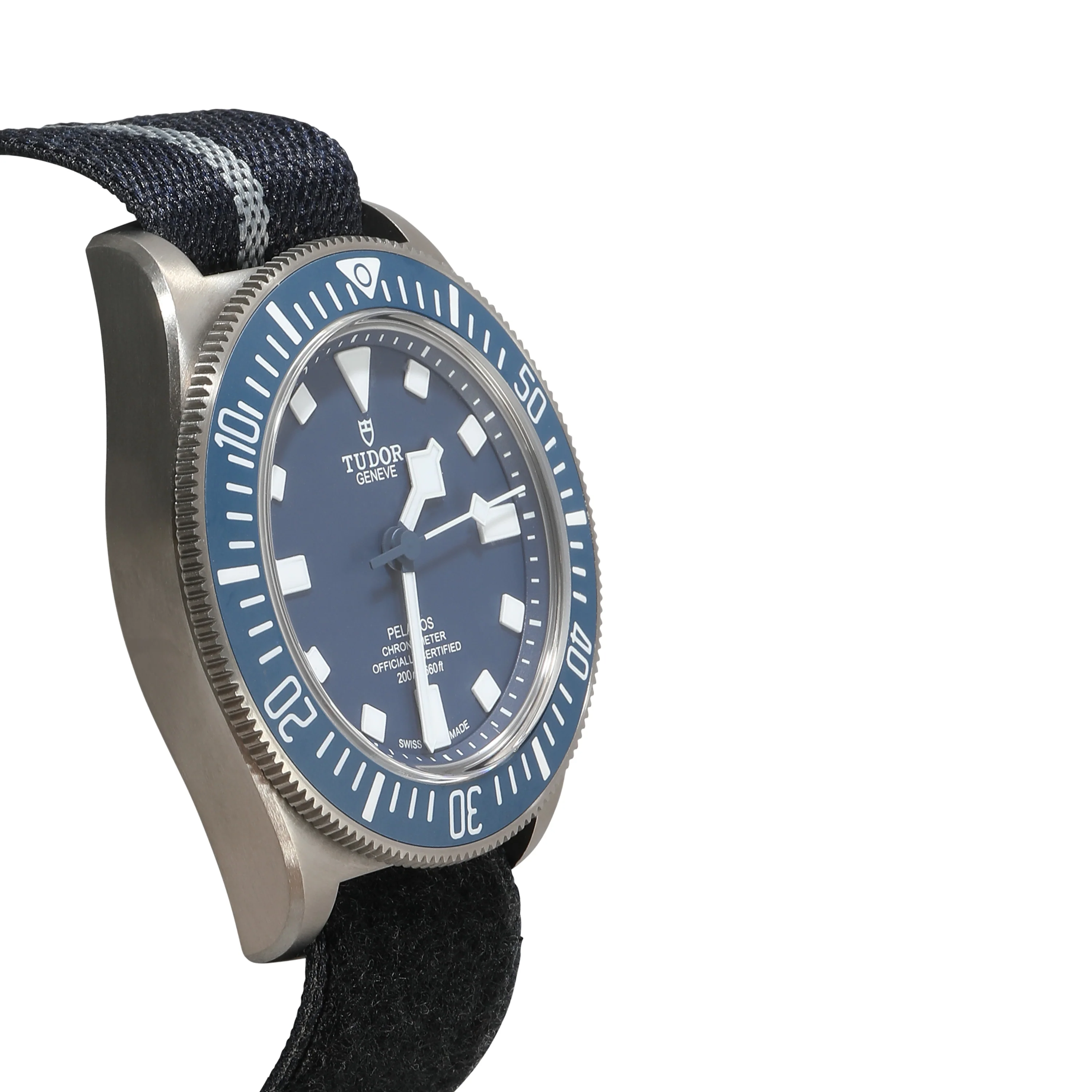 Pelegos FXD 25707B/22 Mens Watch in Titanium - Image 2