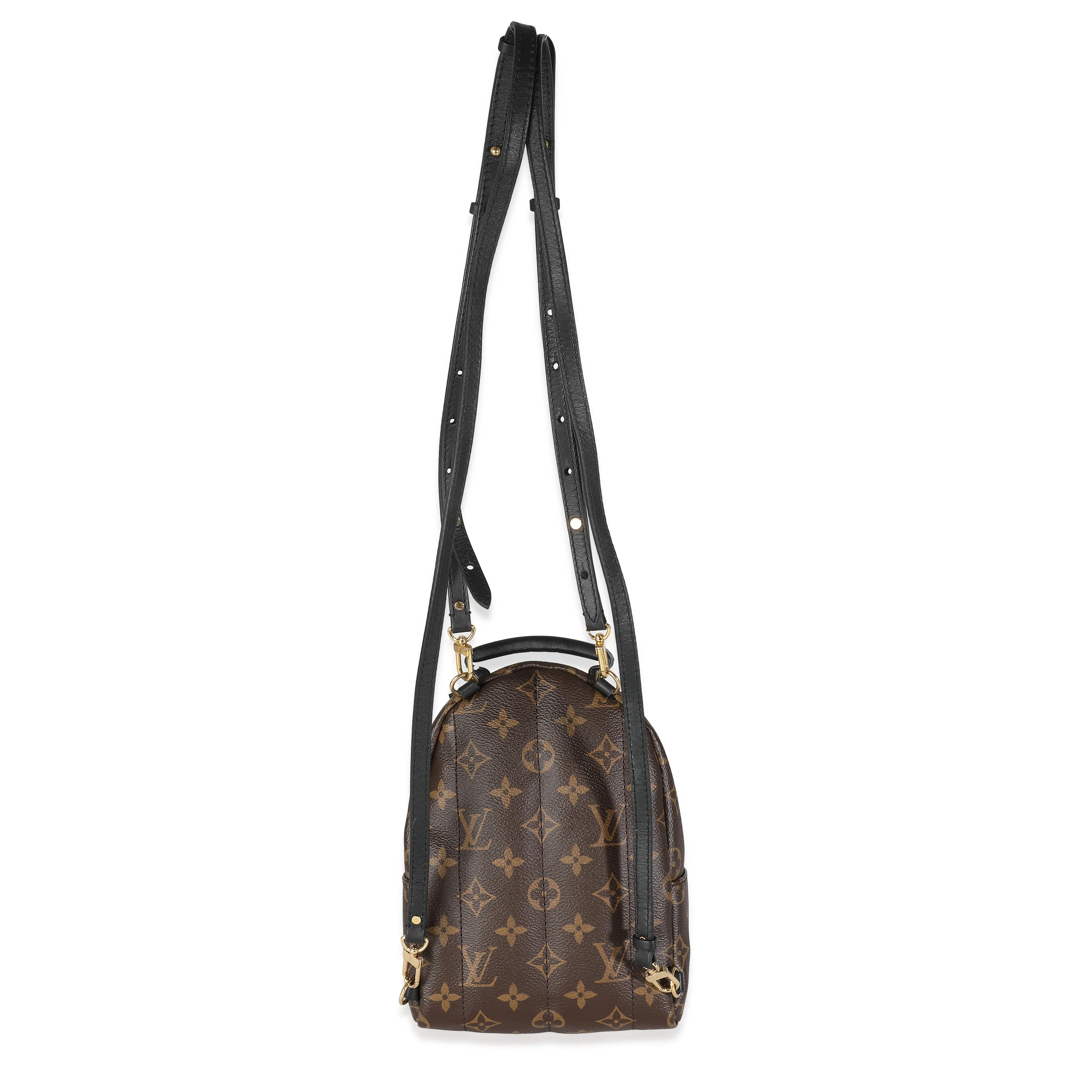 Monogram Canvas Mini Palm Springs - Image 4
