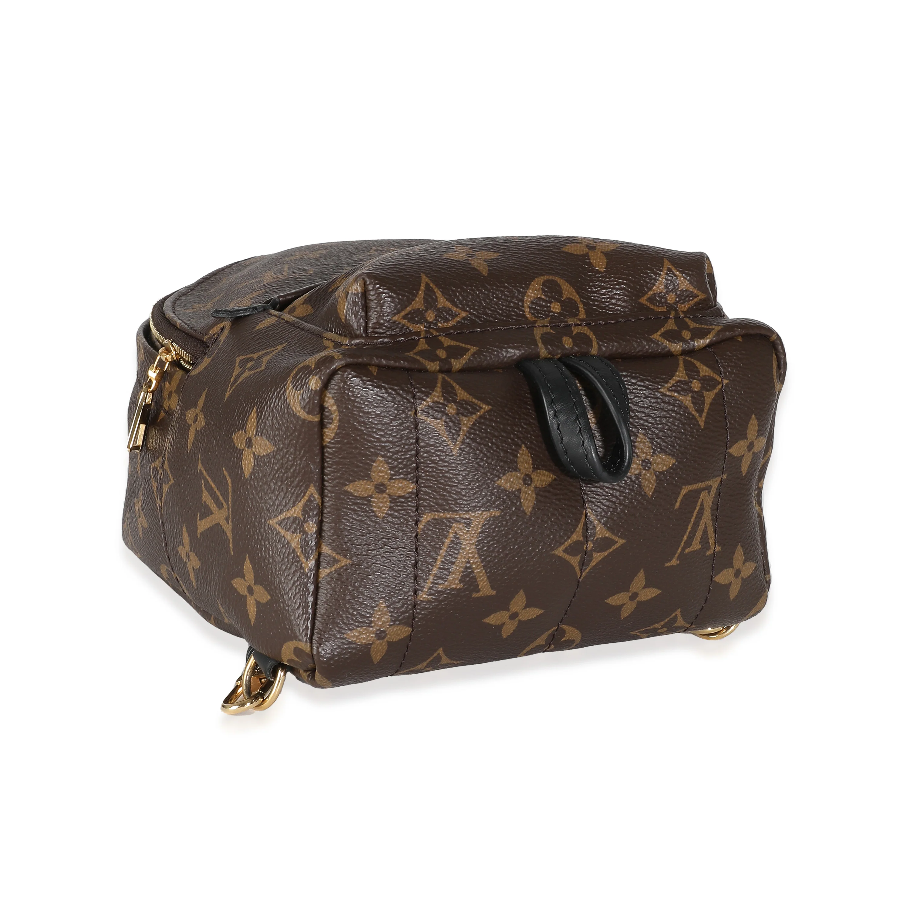 Monogram Canvas Mini Palm Springs - Image 6