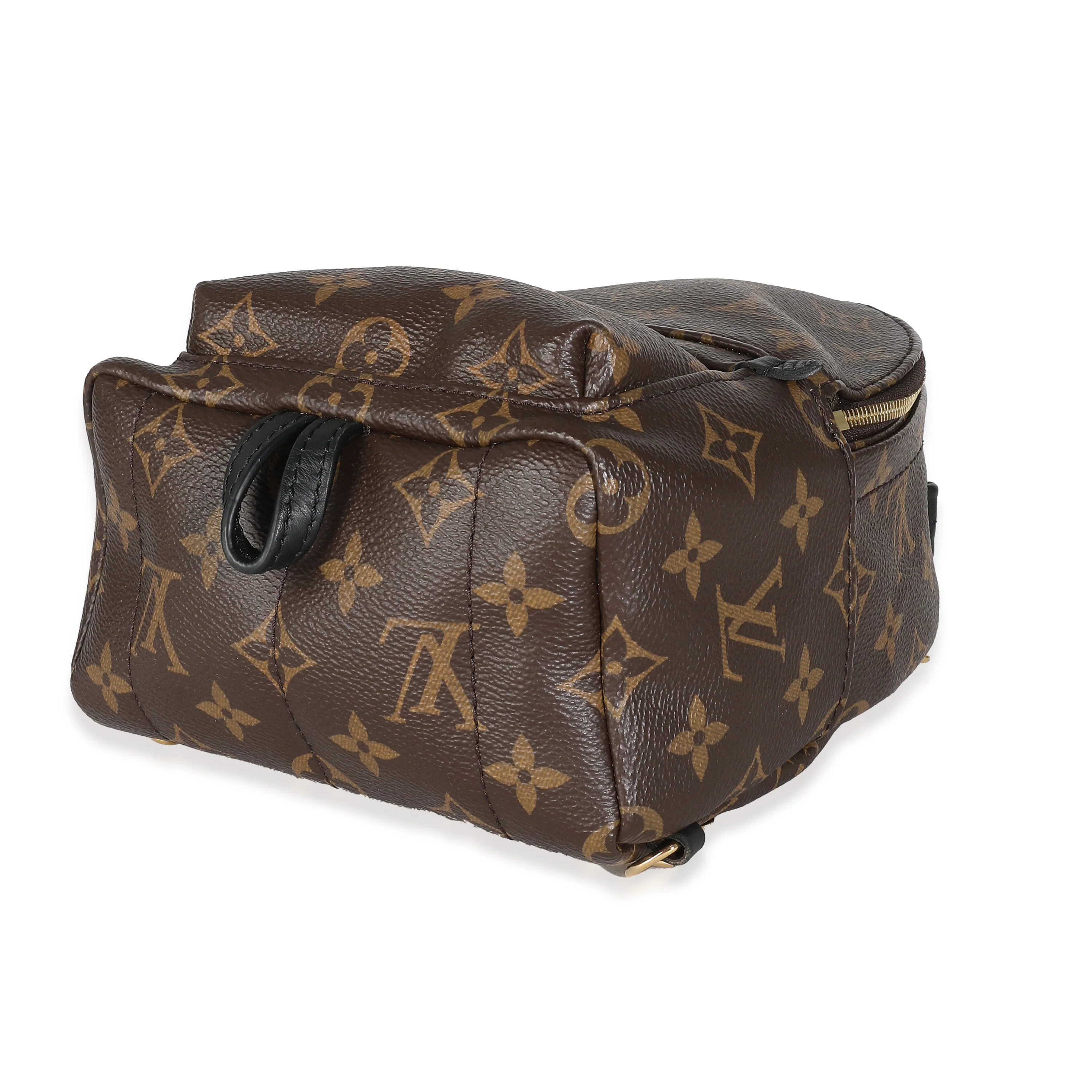 Monogram Canvas Mini Palm Springs - Image 7