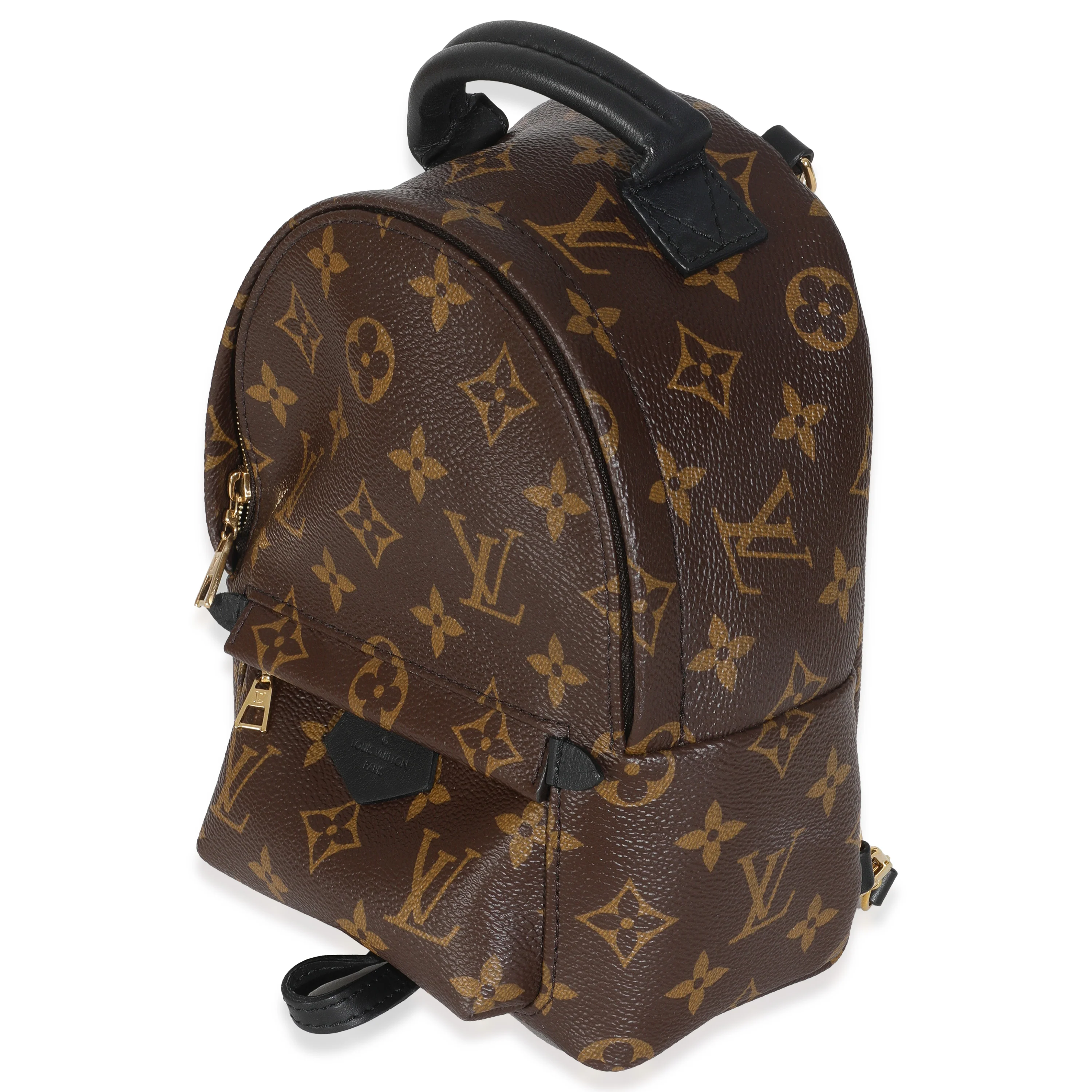 Monogram Canvas Mini Palm Springs Backpack - Image 2