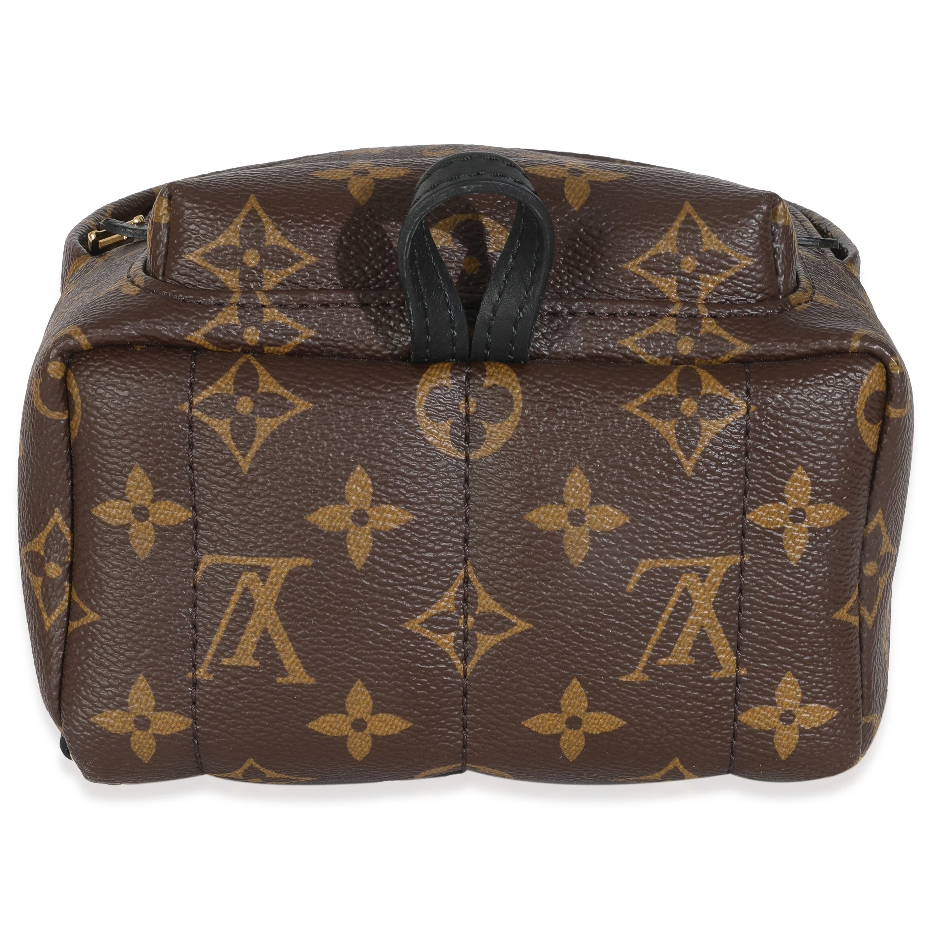 Monogram Canvas Mini Palm Springs Backpack - Image 5