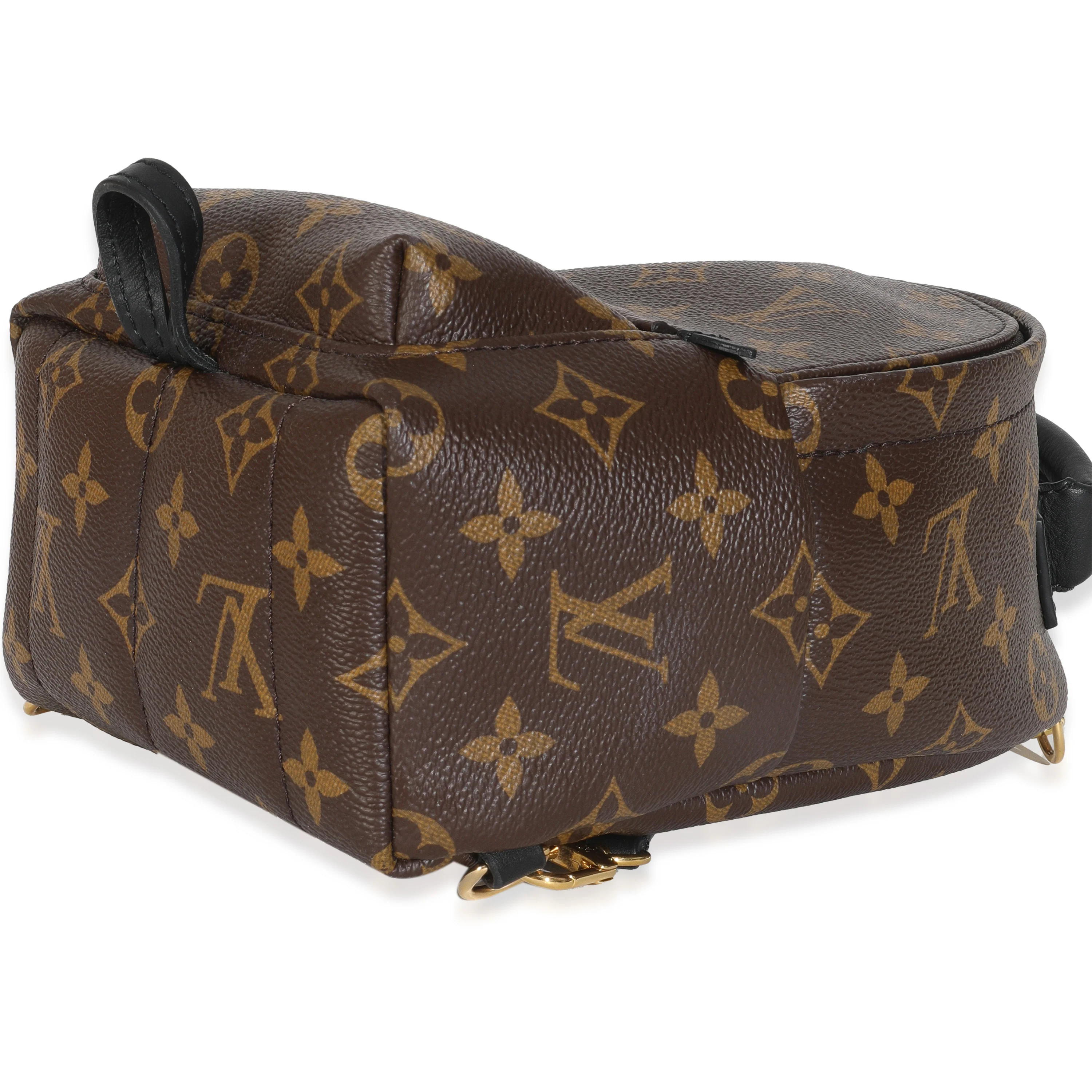 Monogram Canvas Mini Palm Springs Backpack - Image 7