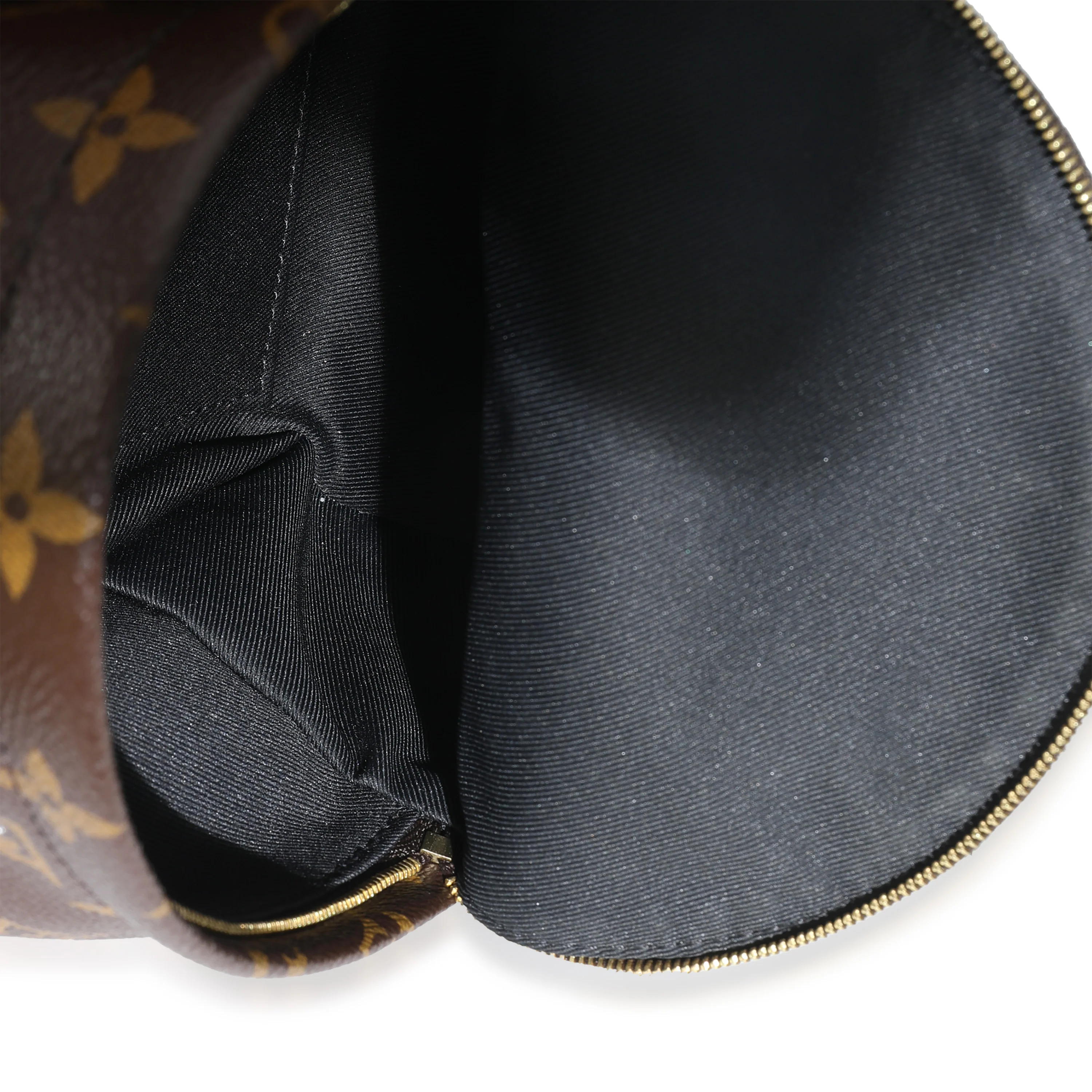 Monogram Canvas Mini Palm Springs Backpack - Image 8