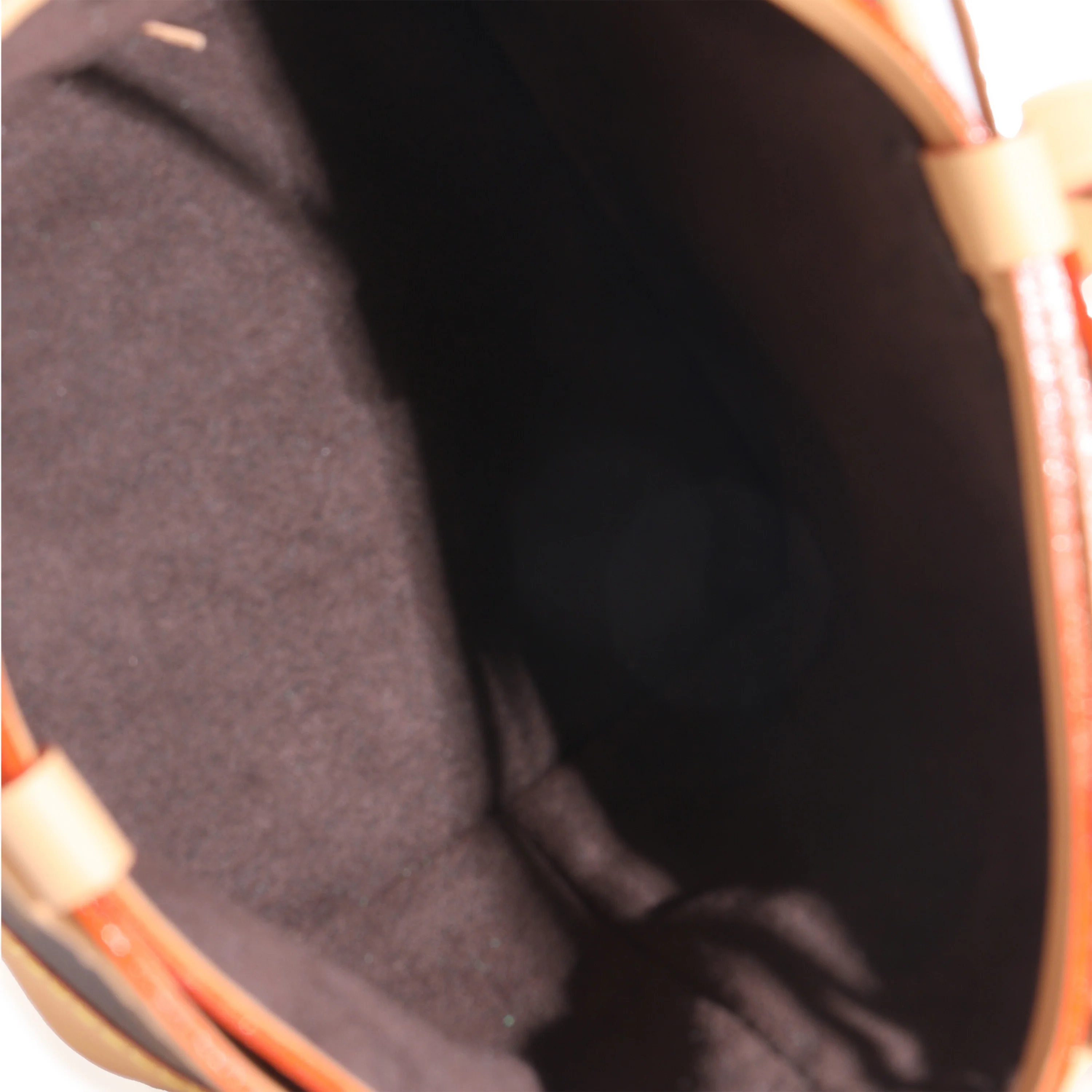 Monogram Canvas Noe Purse - Image 8