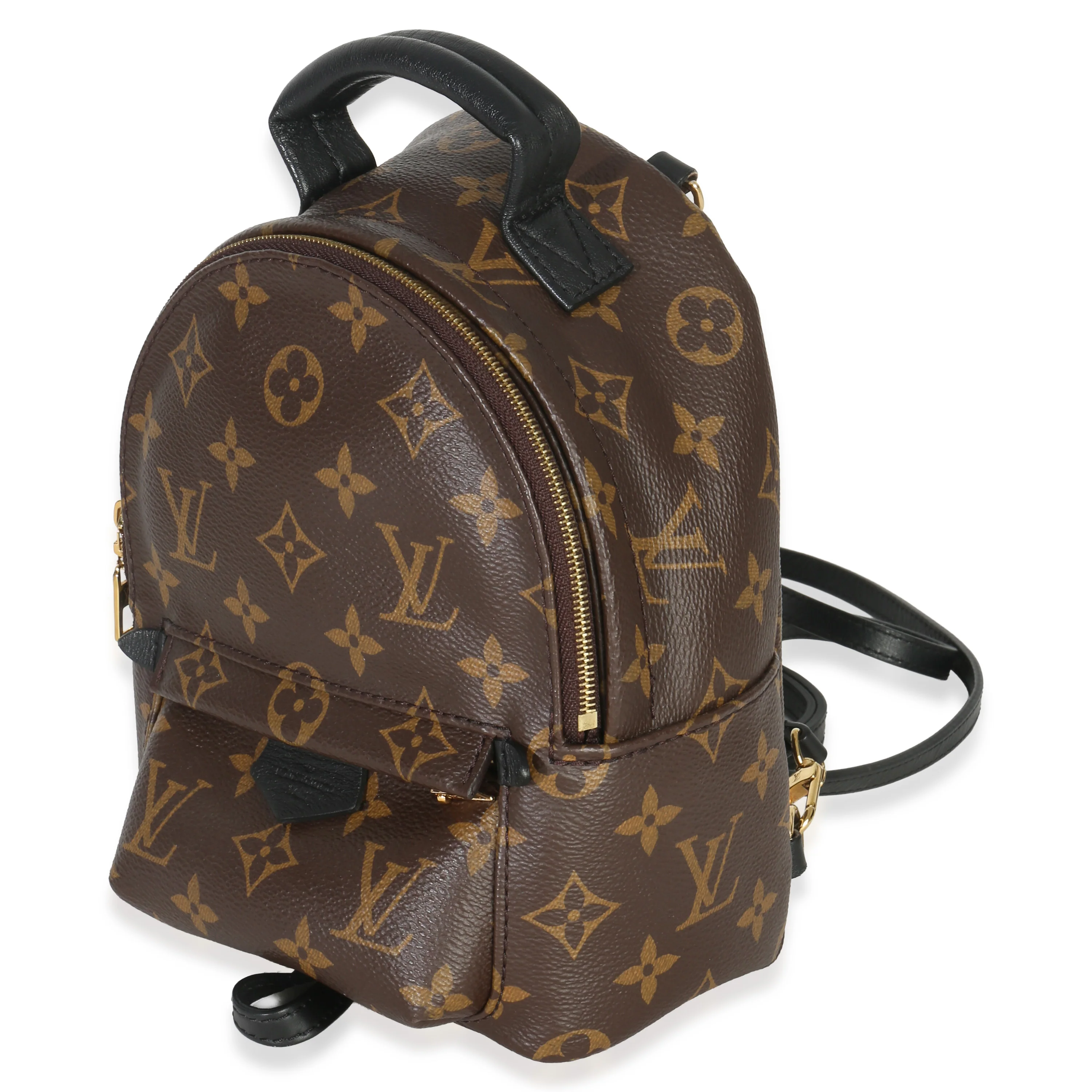 Monogram Canvas Mini Palm Springs - Image 3