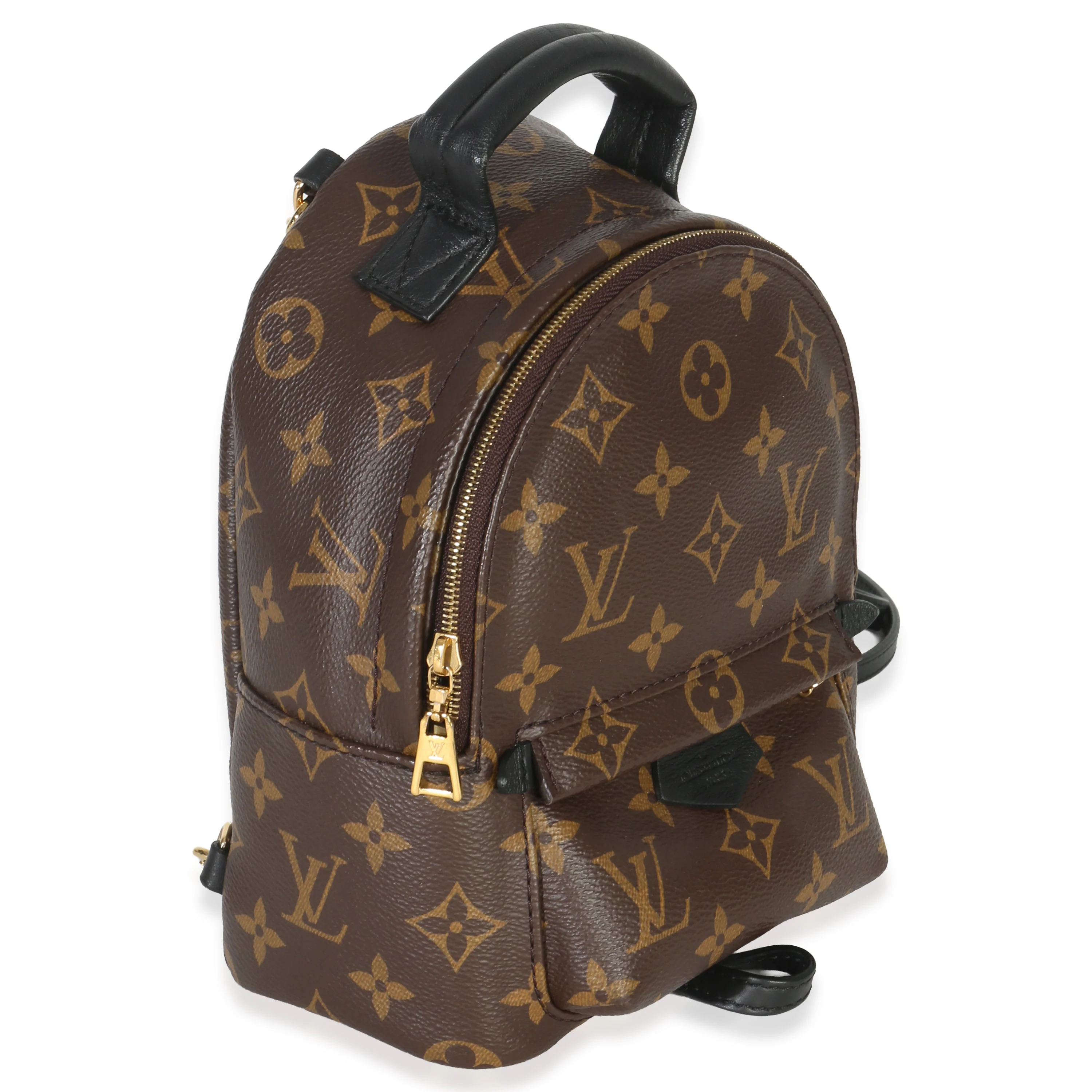 Monogram Canvas Mini Palm Springs - Image 4