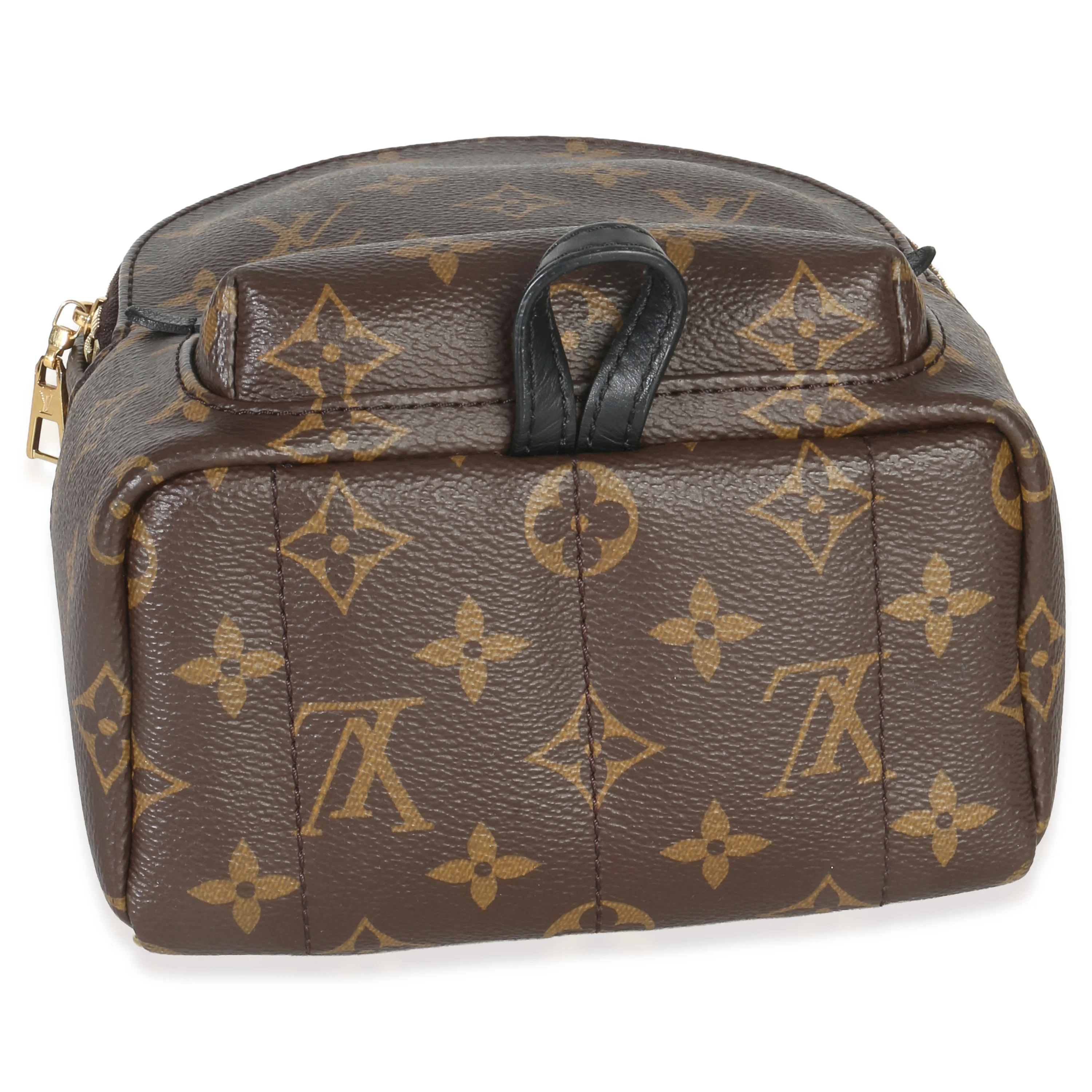 Monogram Canvas Mini Palm Springs - Image 7