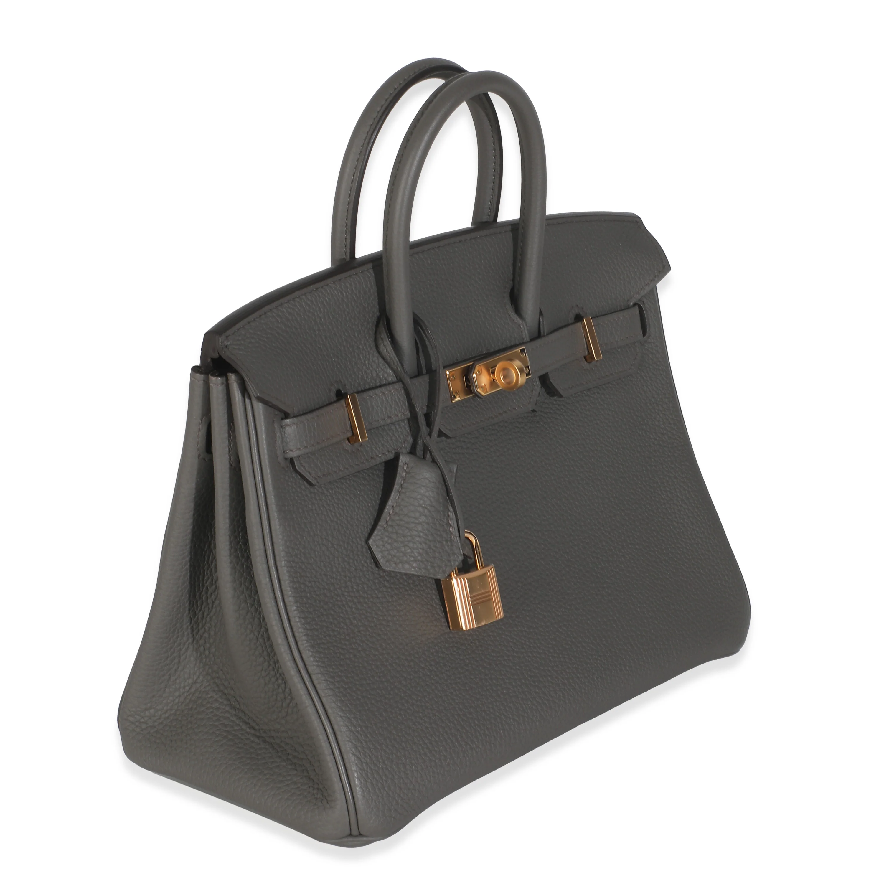 Etain Togo Birkin 25 RGHW - Image 3