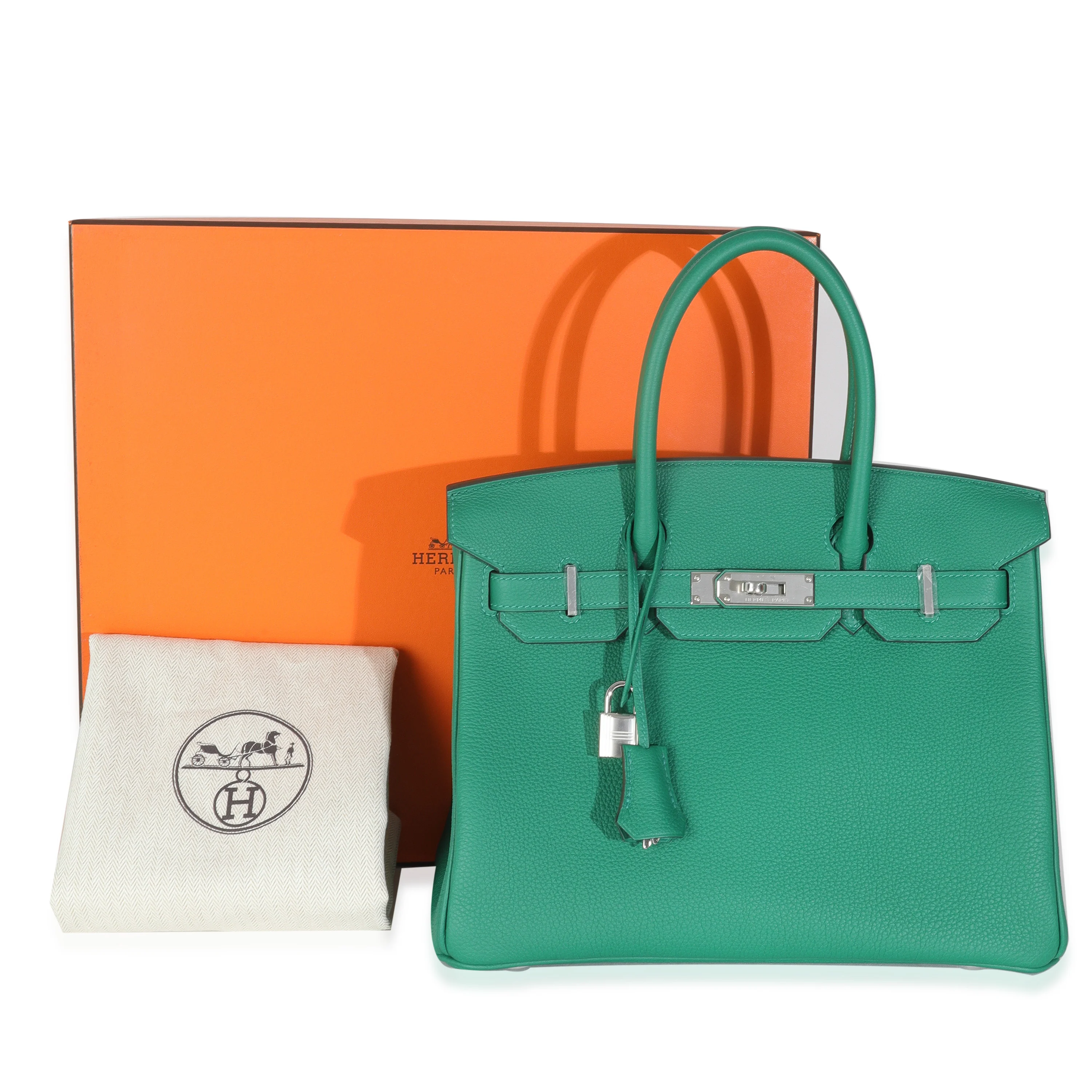 Vert Vertigo Togo Birkin 30 PHW - Image 7
