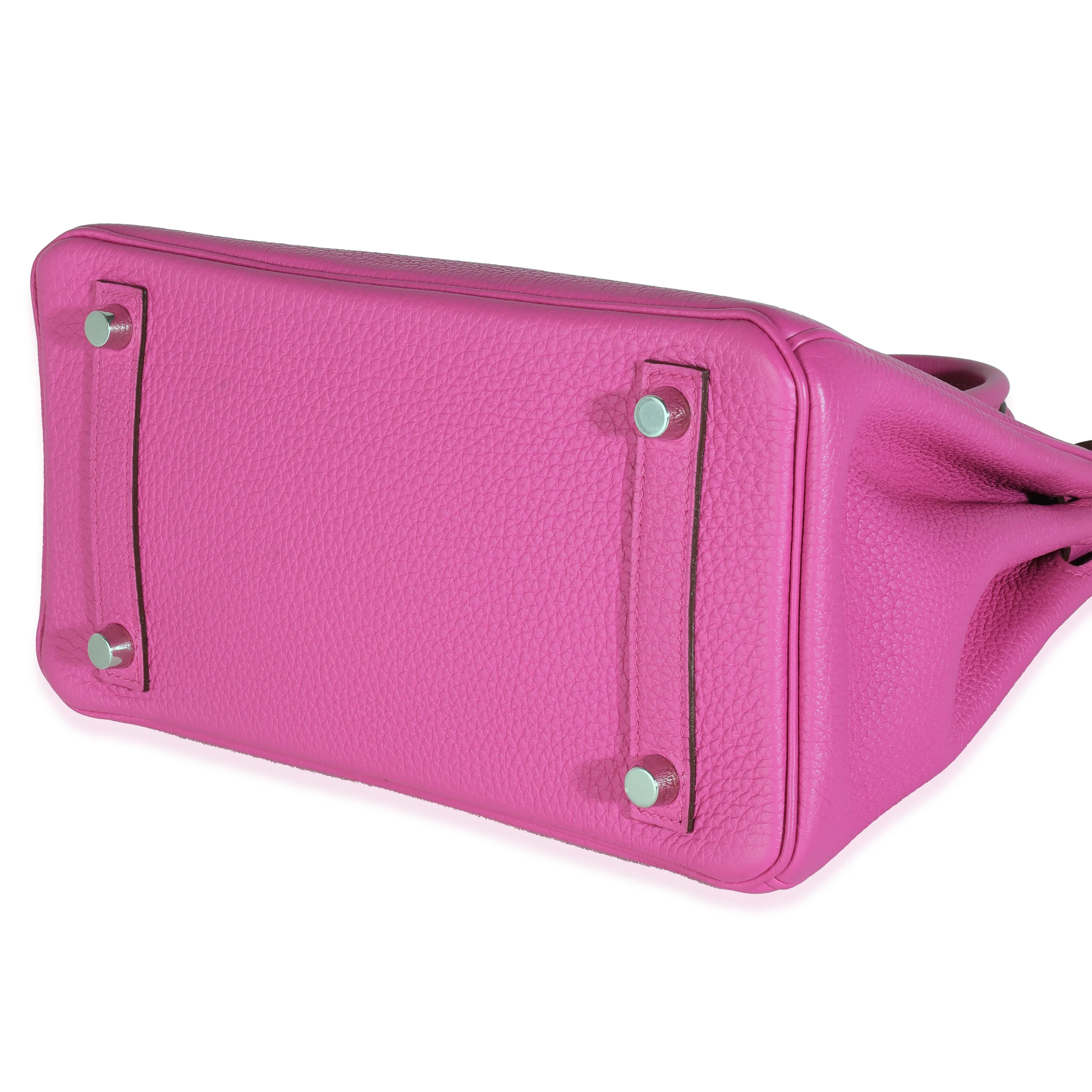 Magnolia Togo Birkin 25 PHW - Image 6