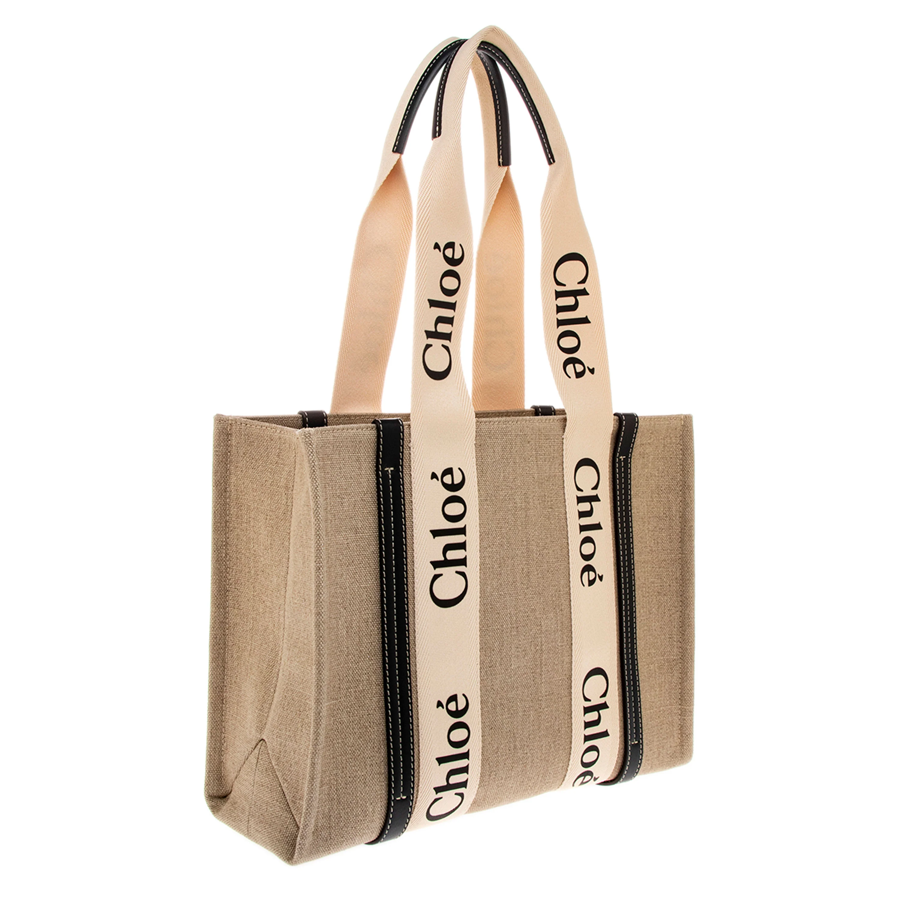 Chloe White Canvas Blue Calfskin Medium Woody Ribbon Tote - Image 2