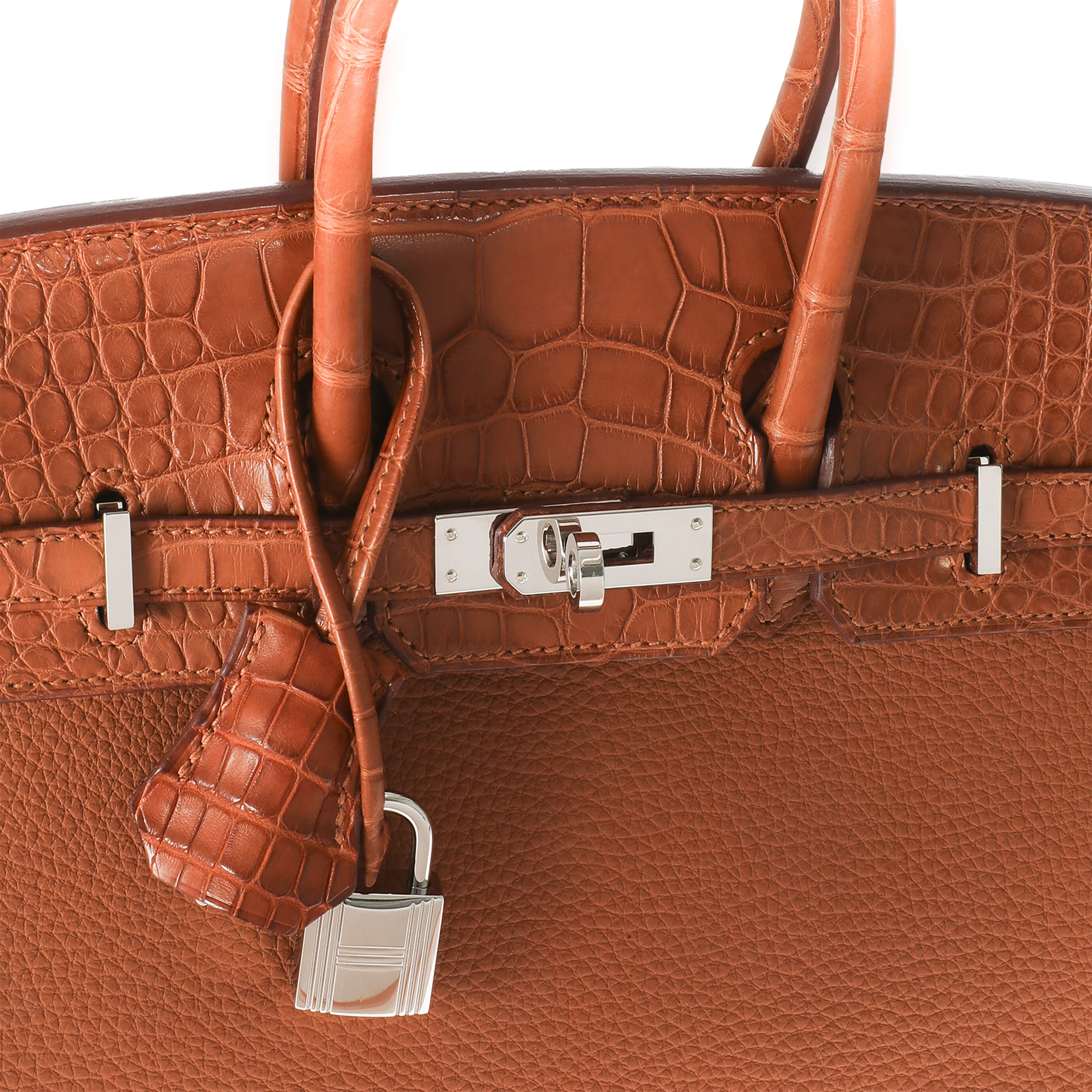 Gold Togo Matte Alligator Touch Birkin 25 PHW - Image 8
